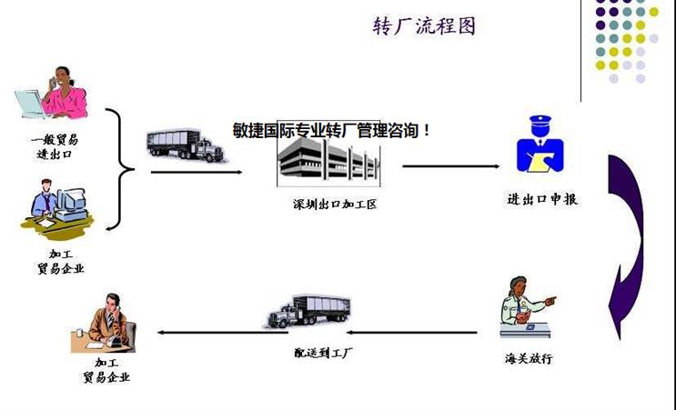 保稅區倉儲企業如何借助管理咨詢實現運營優化與合規升級